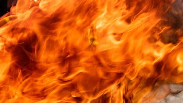    © РИА Новости Крым . Дмитрий Макеев