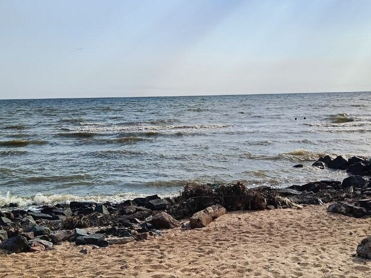   Ева Медовая