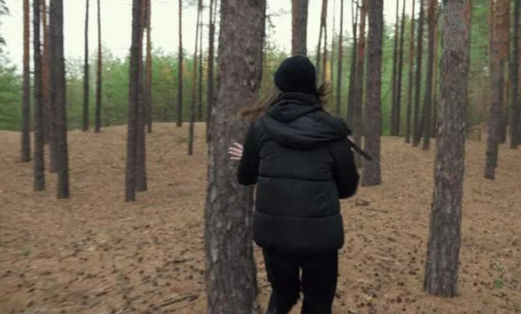 Фото носит иллюстративный характер: открытые источники