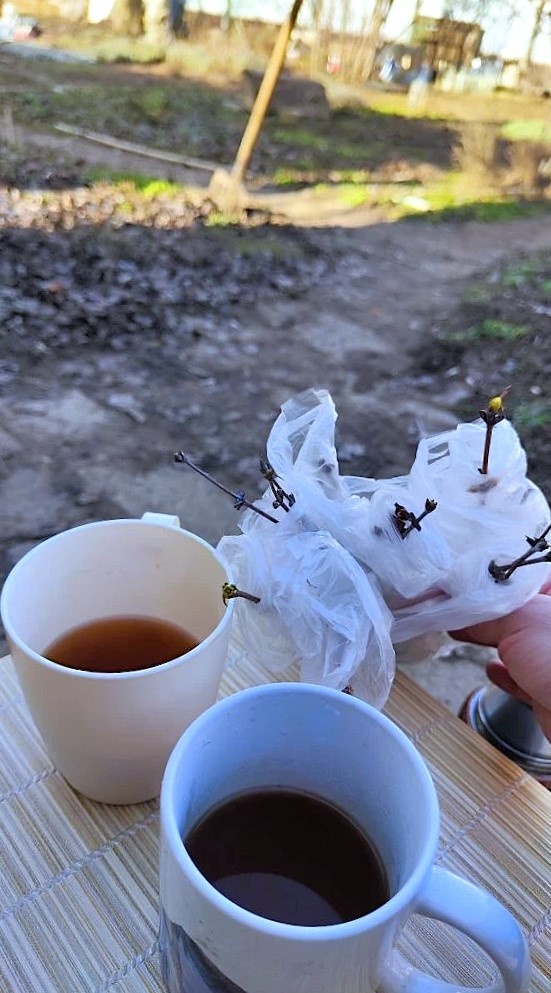 Под птичий щебет