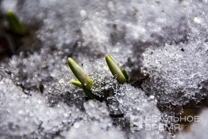  Галия Шакирова / realnoevremya.ru