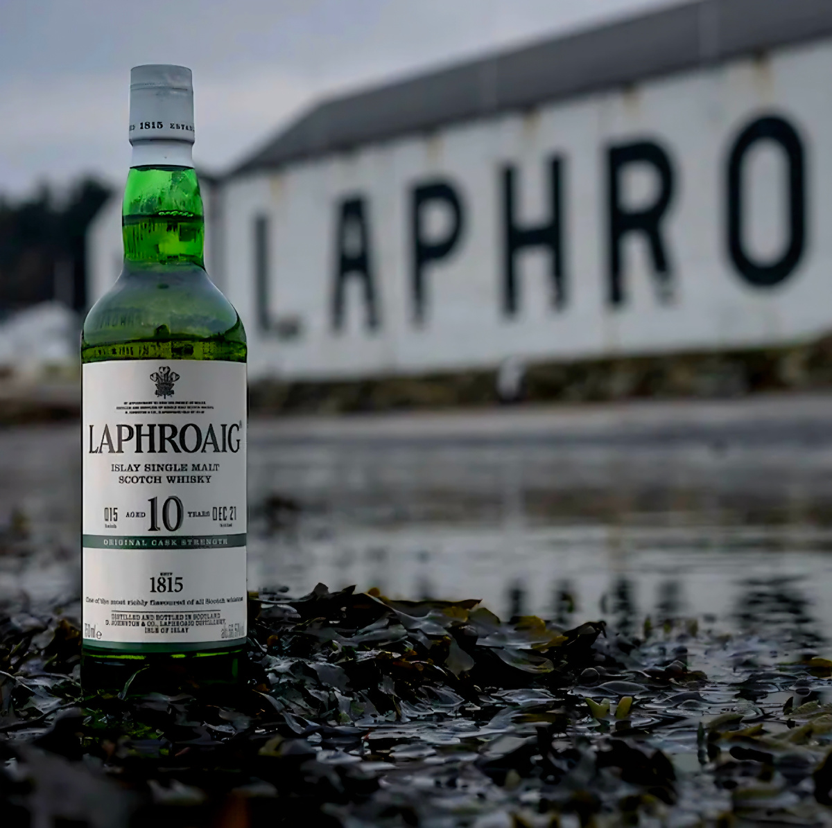 Фото с официального сайта 