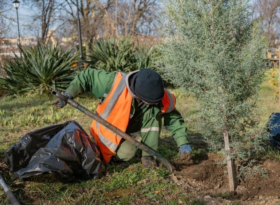    Весенние работы охватили всю флору региона. Фото: sev.gov.ru