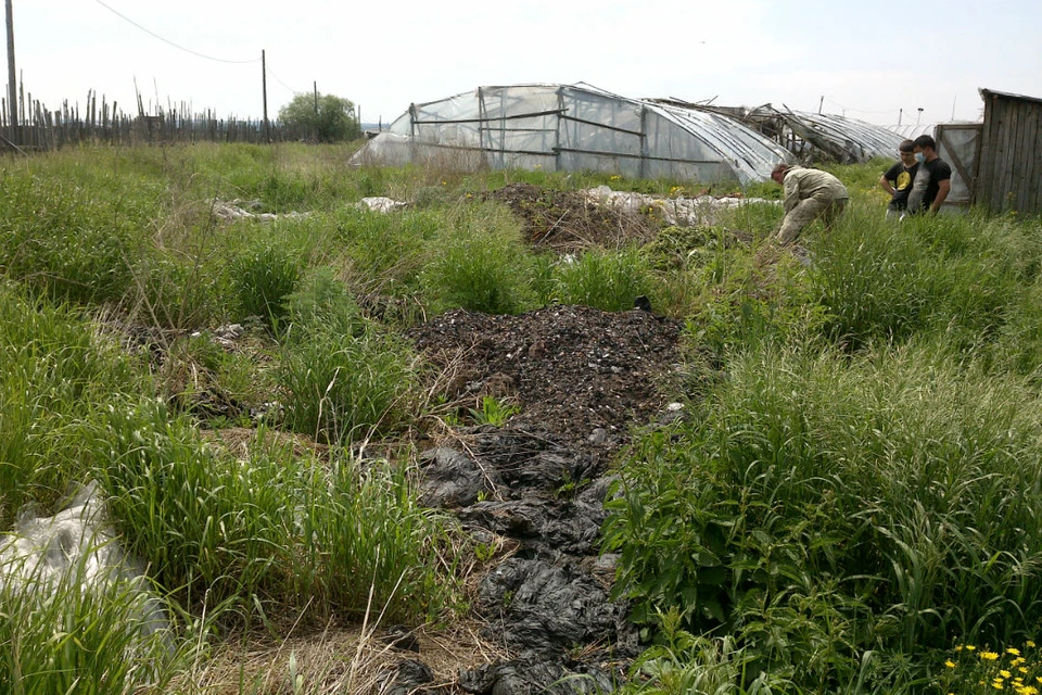 Китайская теплица в Хомутово. Фото: Управление Россельхознадзора по Иркутской области и Бурятии.