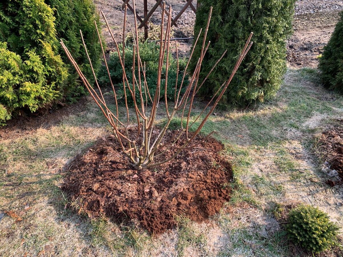 �������� ������� �� �������, 2026 ��� 