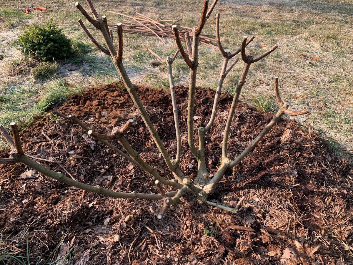 ����� �������, 2026 ���