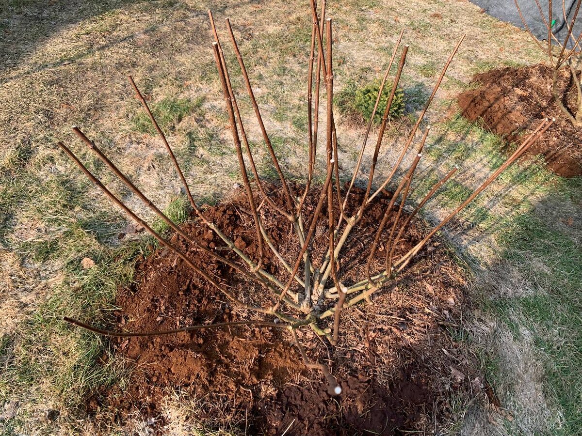 ������ �� �������, 2026 ���