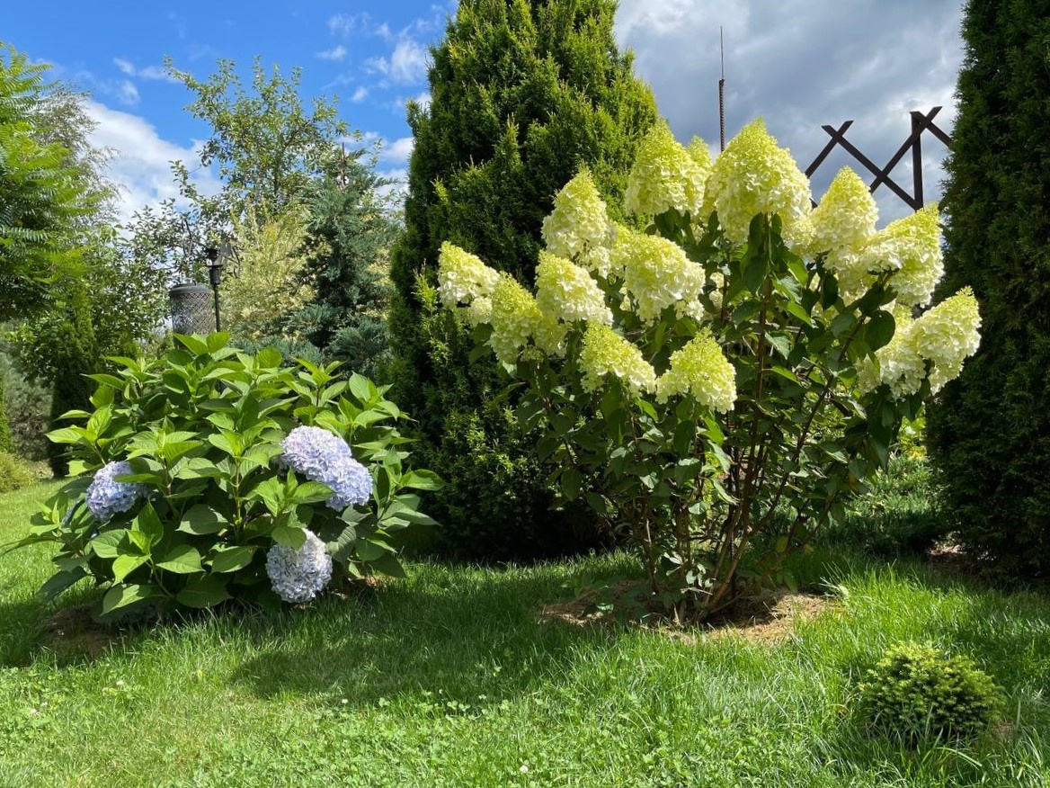 �������� �������, 2025 ���