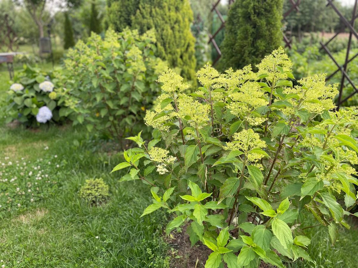 ������ �� �������� �����, 2025 ���