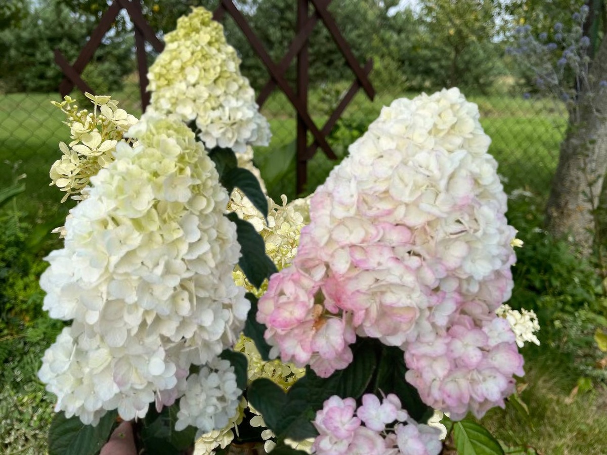 ��������� ����� � 2025 ����