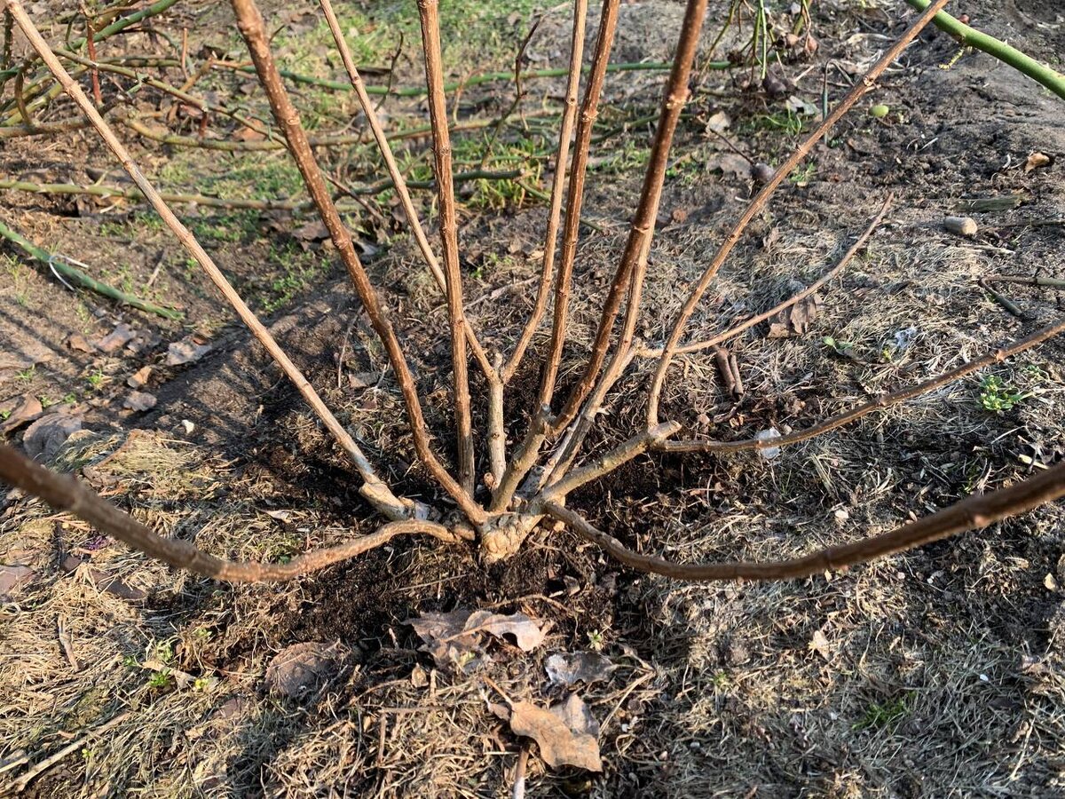 ������� �� �������