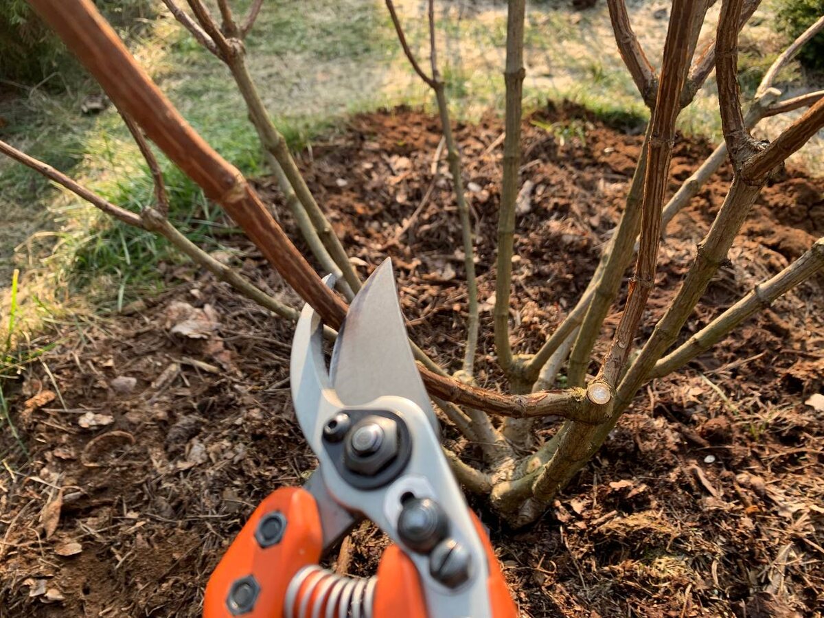 ������� ����������� ���������, 2026 ���