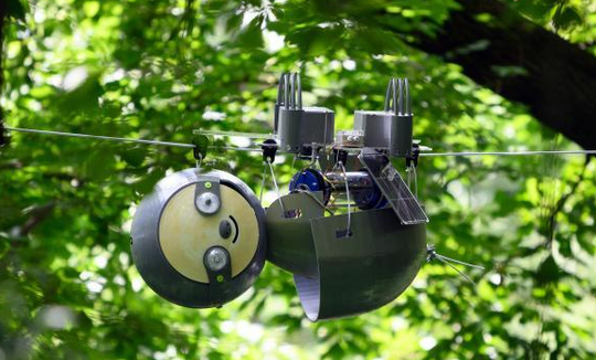 Очаровательный робот-ленивец SlothBot