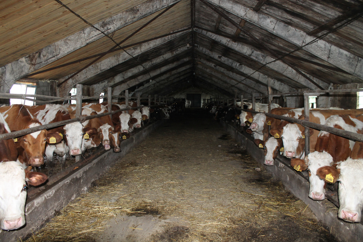 Старая ферма "советской" эпохи