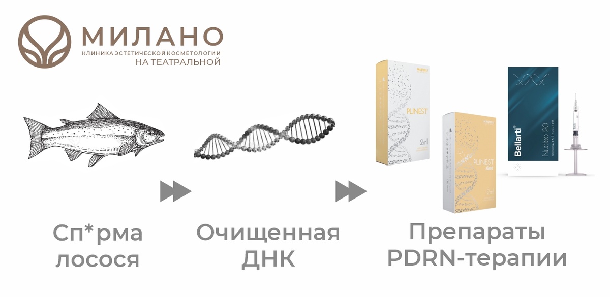 Plinest, Plinest Fast, Bellarti Nucleo