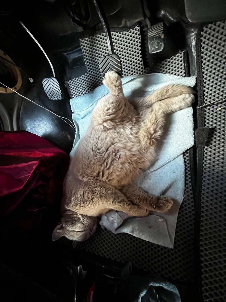 Барин отдыхает