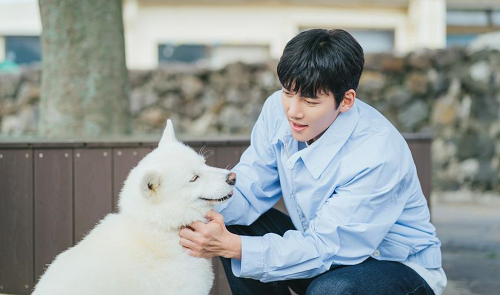 Дорама "Добро пожаловать в Самдали" 2023