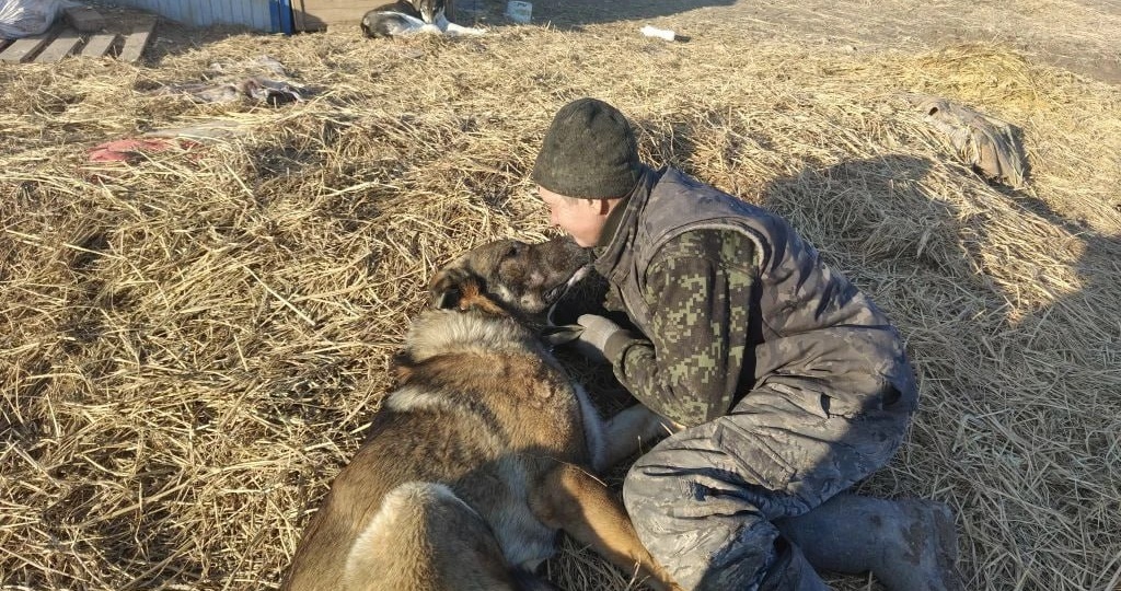 Приютский пес-инвалид из Астрахани обзавелся мамой в Питере