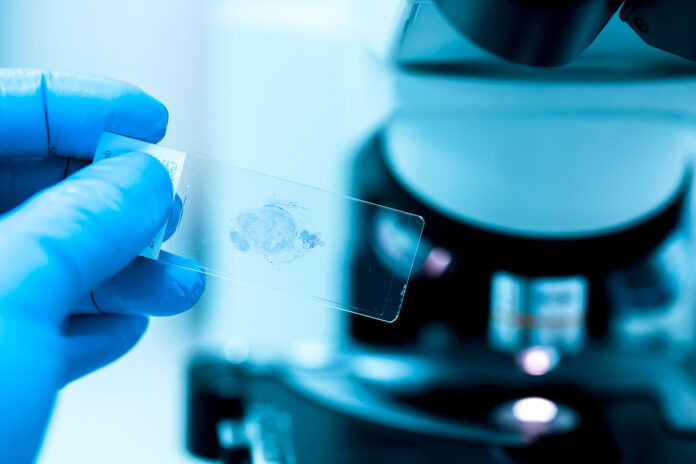    2032 год: Депрессия больше не стигма, а поломка в работе нашего биологического двигателя.