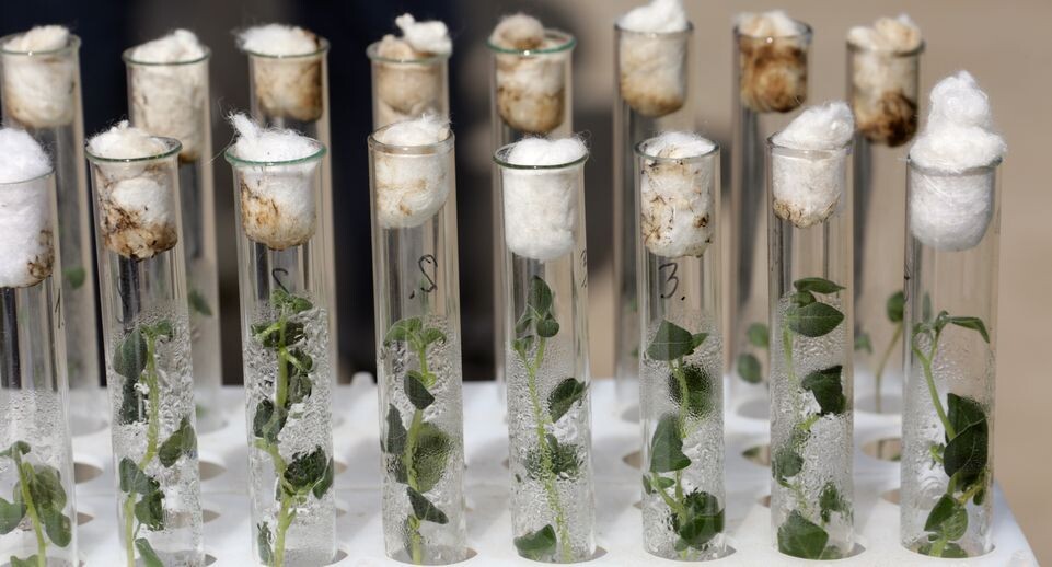    Медиасток.рф