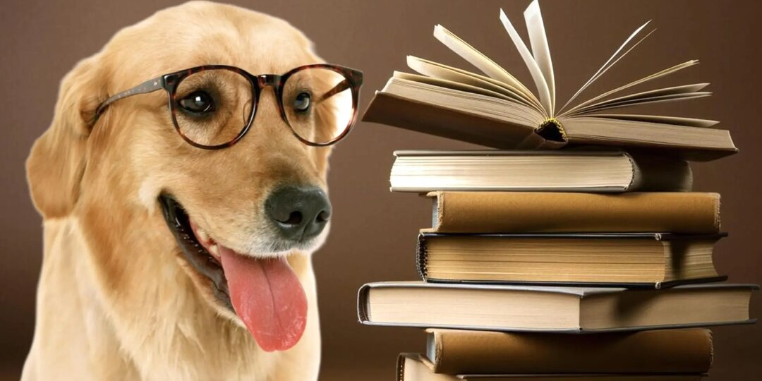 Интересный тест по литературе: Кто написал эти 10 книг?