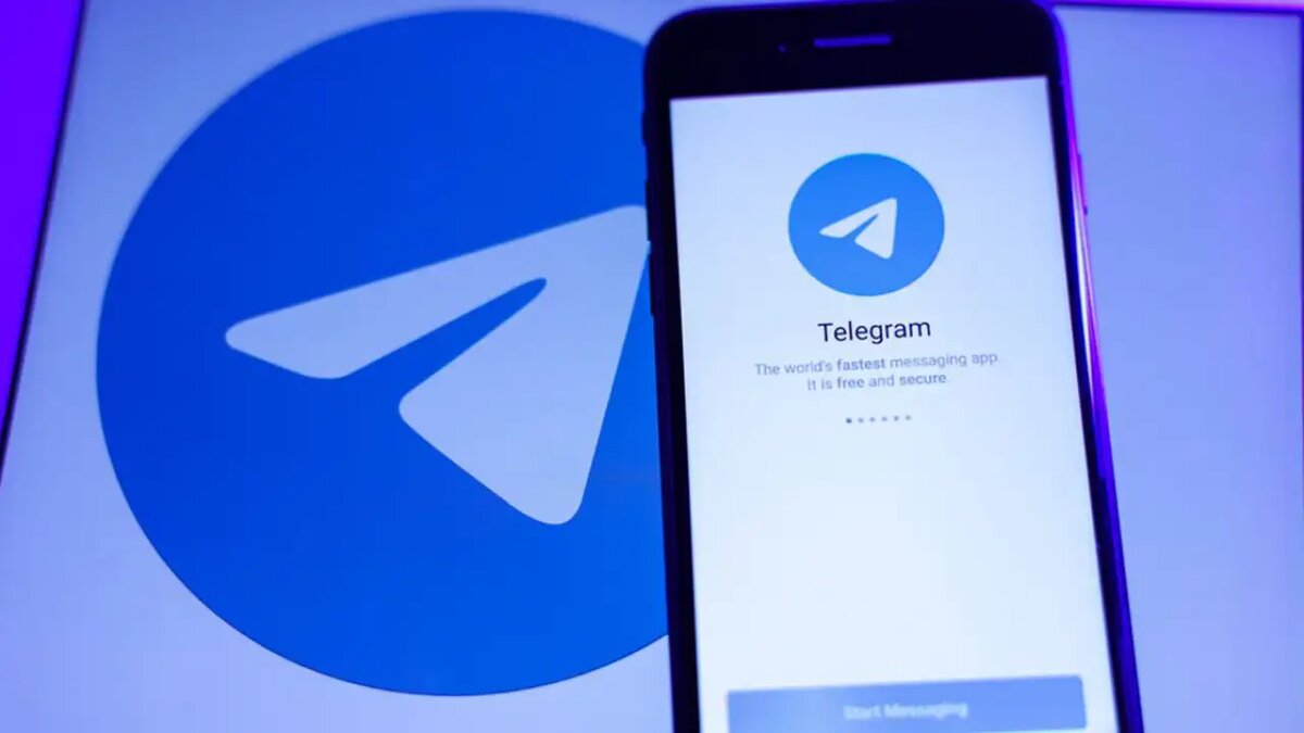    Мессенджер Telegram. © АГН «Москва»