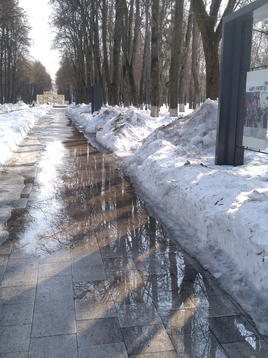 Весенний пейзаж на фоне новогодней инсталляции...