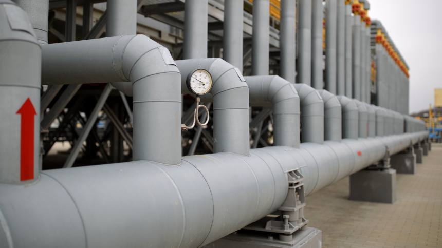    Фото: © РИА Новости/Виталий Тимкив