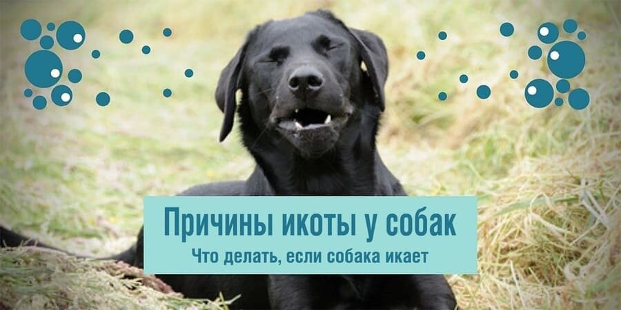 Фотография из интернета