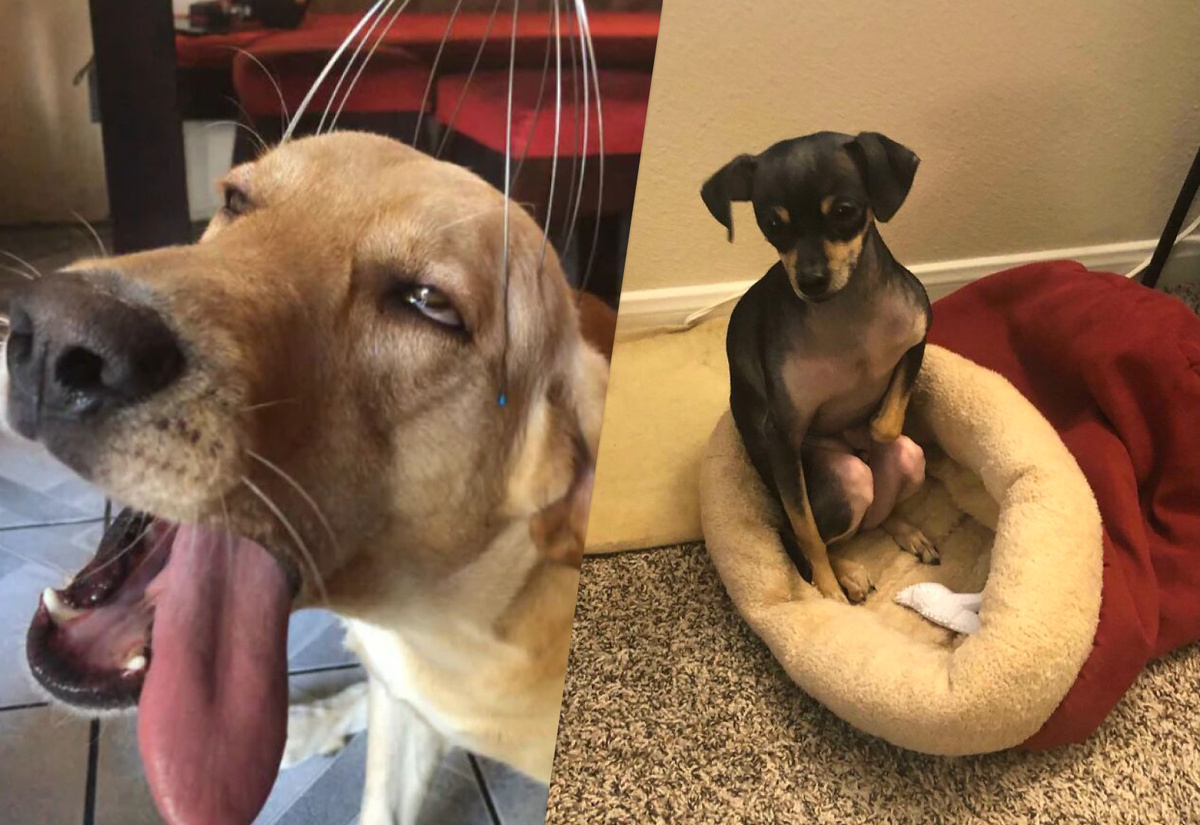 Фотография из интернета