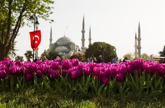 Стамбул, Турция