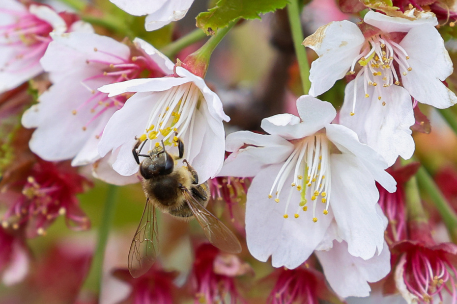    Артем Соболев/NEWS.ru