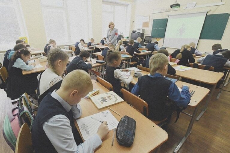    Иллюстрация к материалу: В школах Петербурга могут появиться интроскопы для досмотра вещей учеников