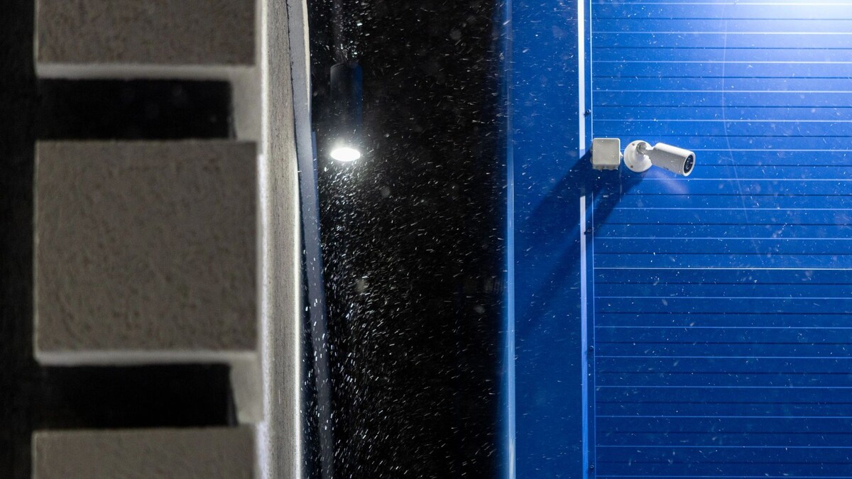    Фото: Федор Воронов/«Ямал-Медиа»