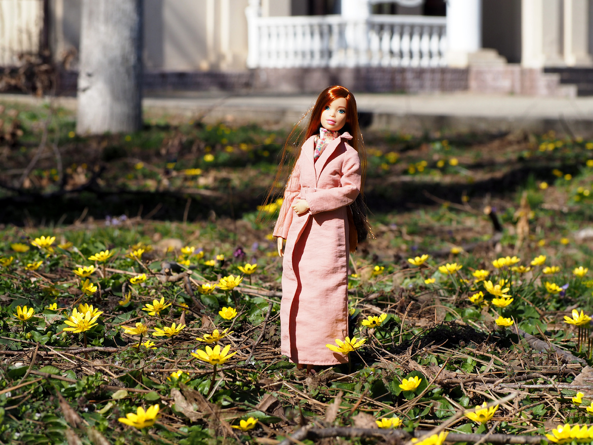 Barbie Fashionistas #16.