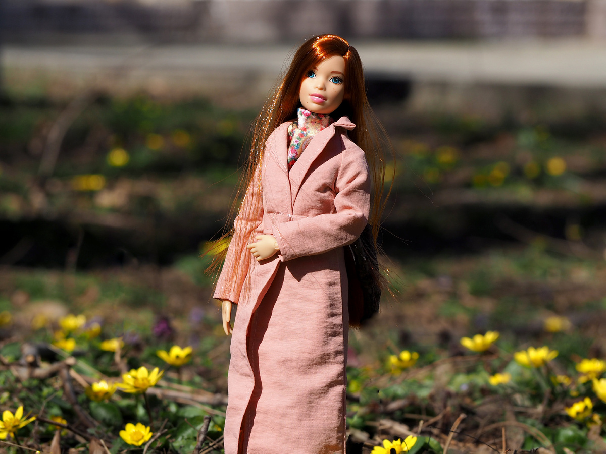 Barbie Fashionistas #16.