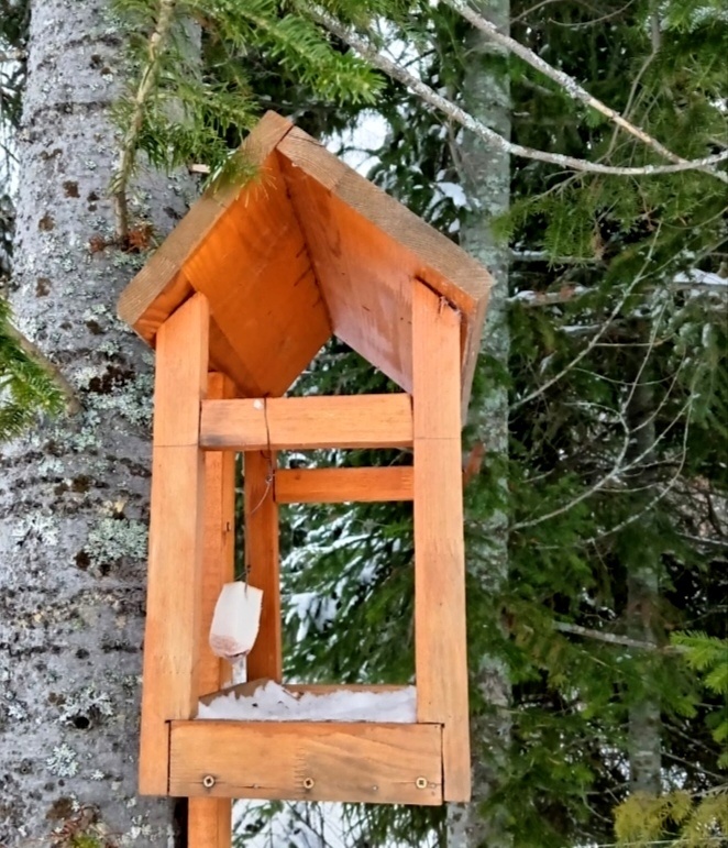 Фото из личного архива автора. 