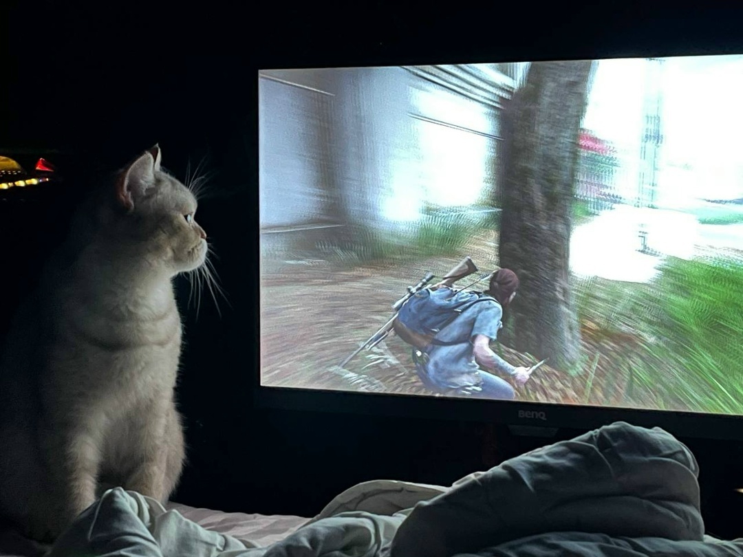 Настя и кошка играют в The Last of Us / Фото: личный архив