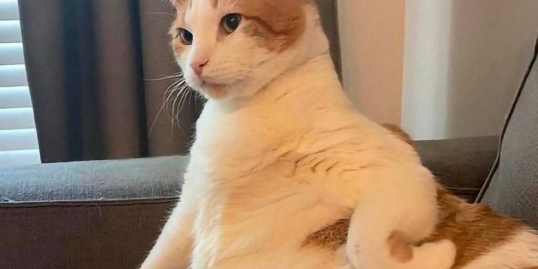 Английский язык в бизнесе: что изменилось с 1 марта 2026 года