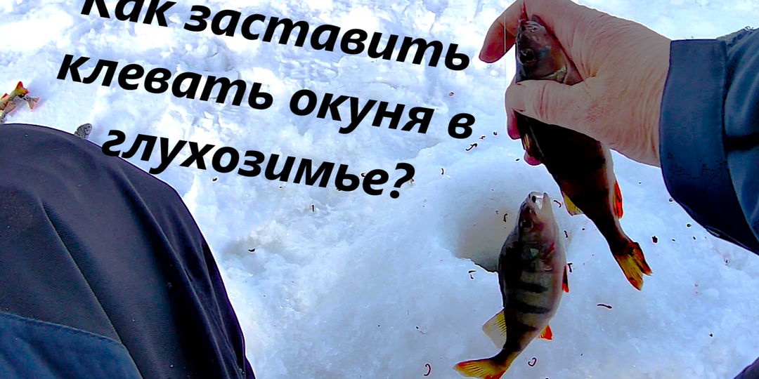 Глухозимье 3. Ловля окуня на мормышку с насадкой.