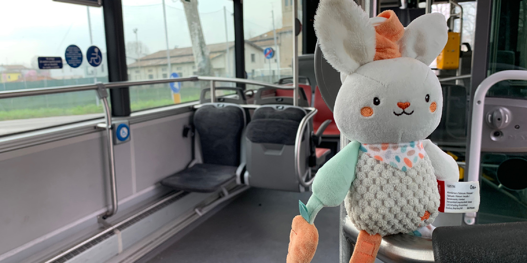 Печальная судьба итальянских "зайцев"