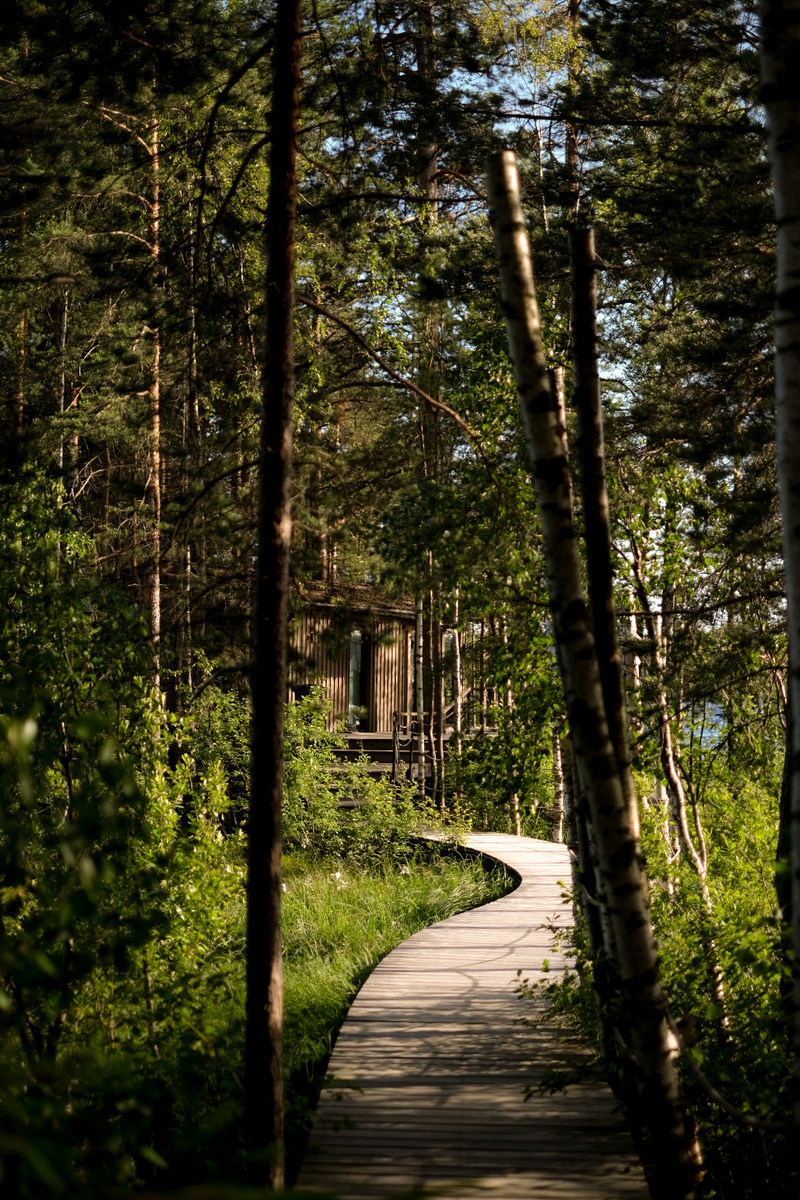 Тропинка к лоджу WE LODGE