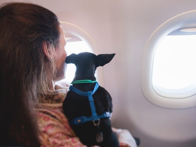    Фото: 123RF.соm/tsuguliev