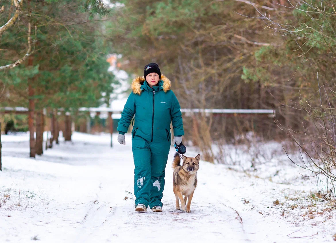 Рада на передержке