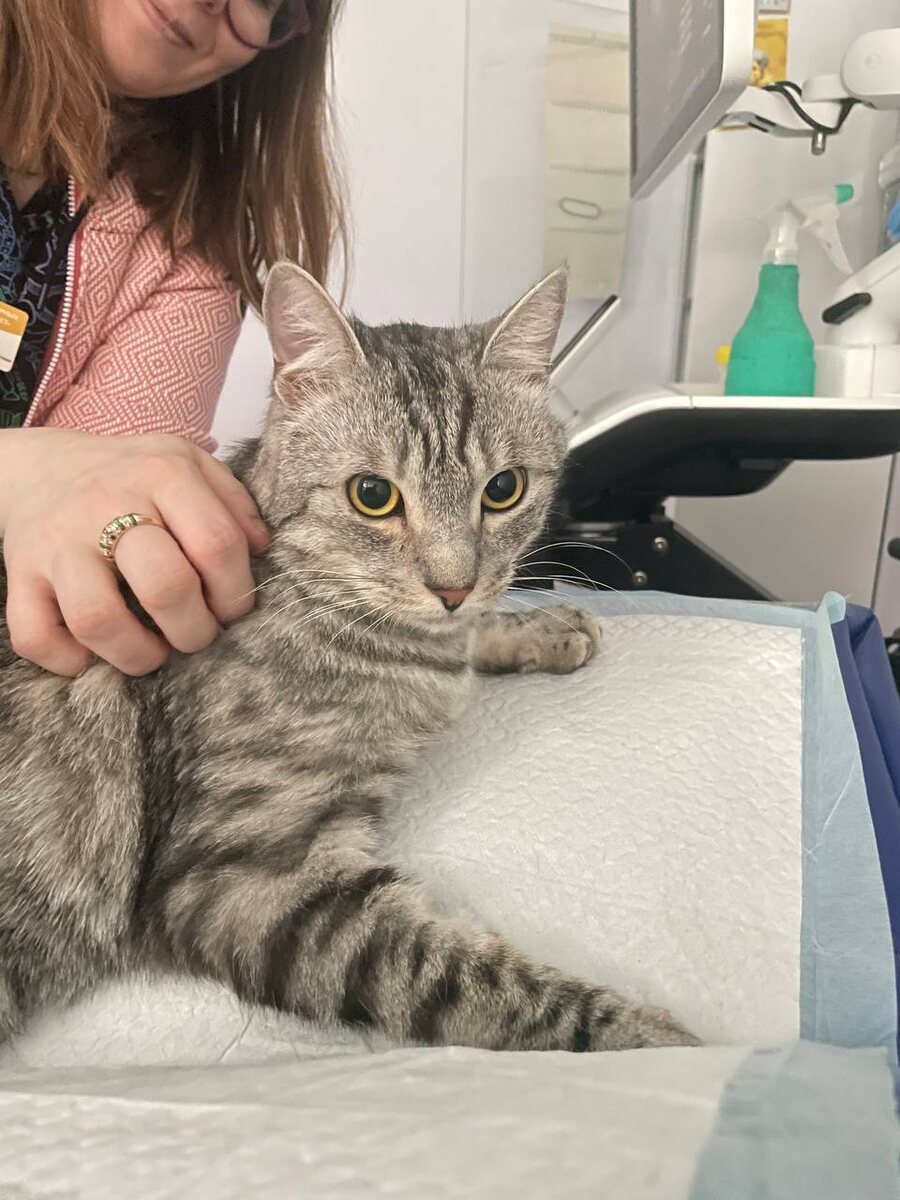 Это вы что собираетесь делать??