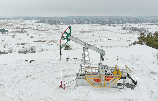 Егор Алеев/ТАСС