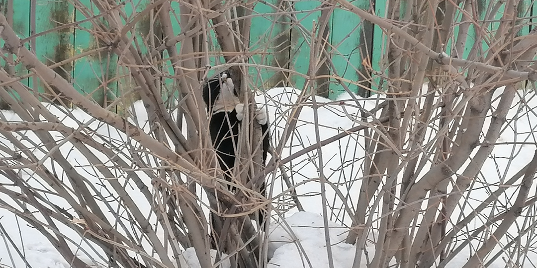 Еще немного про судьбу. Что об этом говорят наши читатели и некоторые известные люди