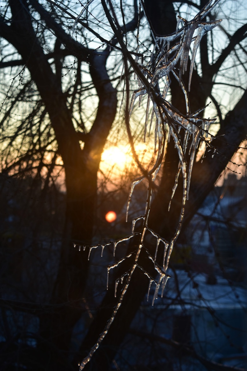 Это фото было сделано в последних числах февраля 