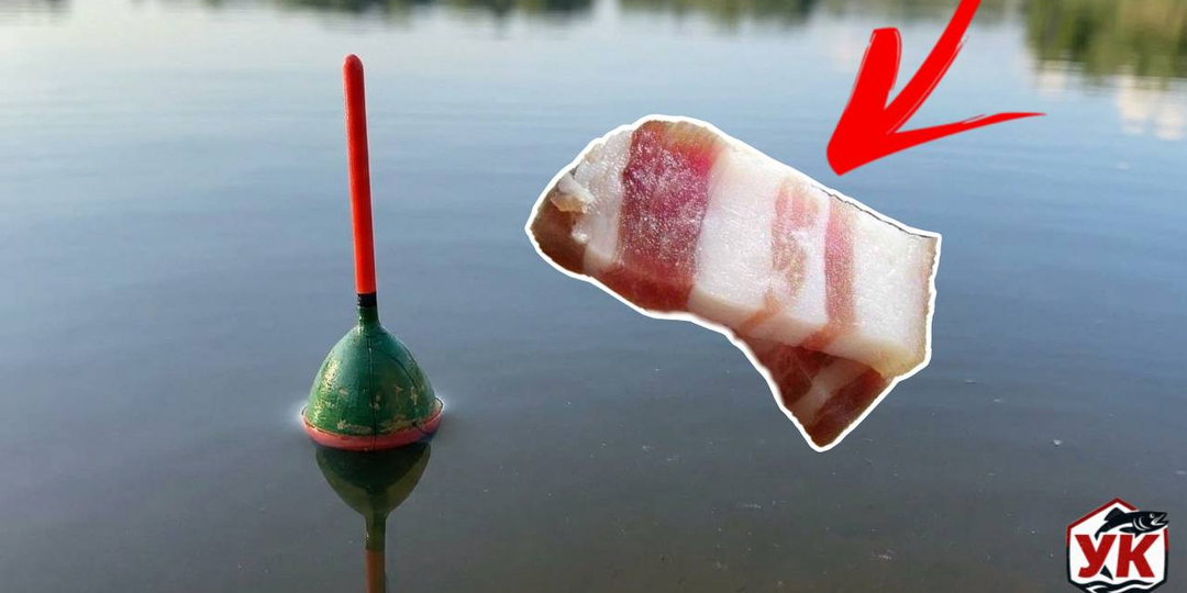 Почему сало — лучшая наживка: кто клюет на сало и как его приготовить