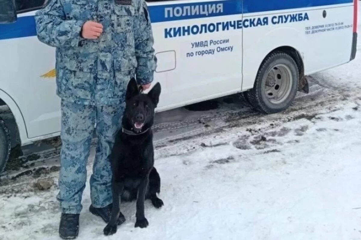    Доблестная четвероногая напарница помогла омским полицейским найти воришку